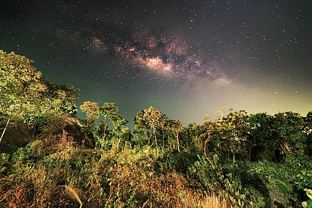 The bulge of the Milky Way seen from the Thai jungle: “The more you go south in the hemisphere, the better is the visibility of this star cluster surrounding a supermassive black hole.”