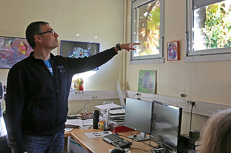 Claude Sauter (researcher at the UPR 9002) often spots a squirrel in front of his window. 