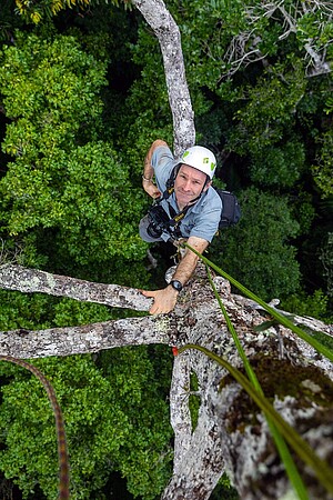 Sylvain Hugel during a study mission of insects in the Madagascar canopy in January 2022. Picture: Brian Fisher