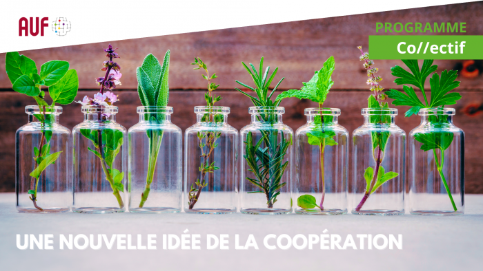 Bannière du programme collectif de l'AUF, avec le slogan Une nouvelle idée de la coopération