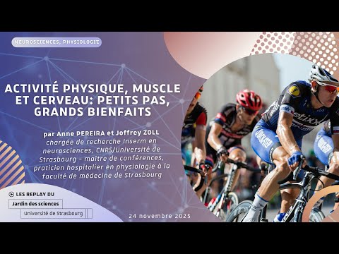 Affiche de la conférence « Activité physique, muscle et cerveau : petits pas, grands bienfaits »